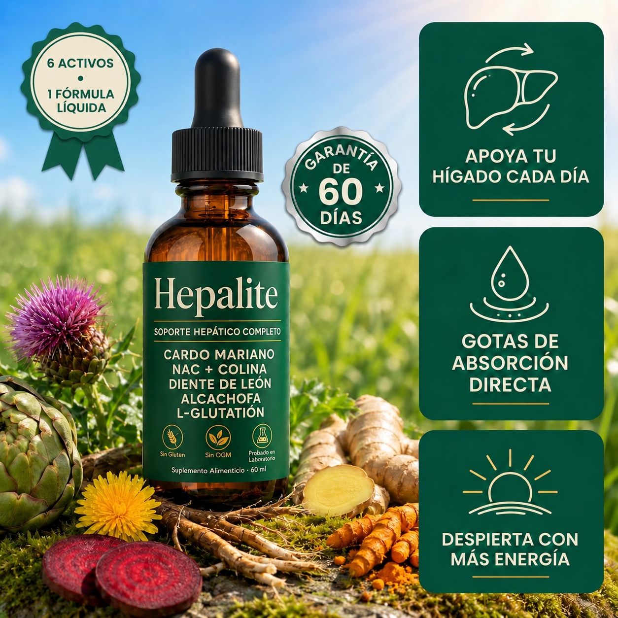 hepalite